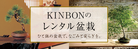 KINBONのレンタル盆栽