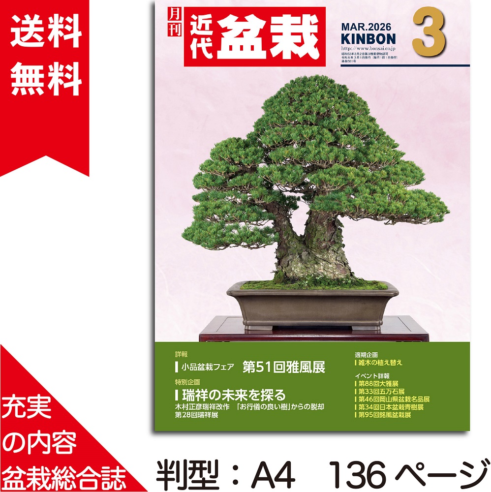 月刊「近代盆栽」2026年3月号