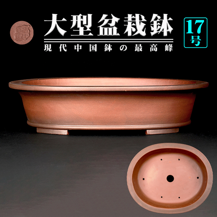 現代中国鉢 | 盆栽、盆栽書籍、盆栽鉢の通販│近代出版