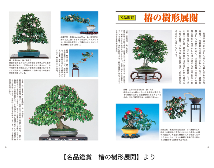 椿 桜の育て方 盆栽 盆栽書籍 盆栽鉢の通販 近代出版