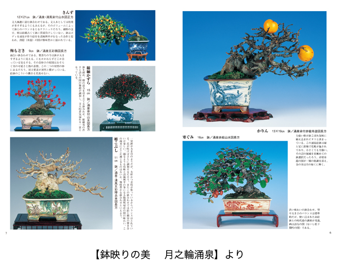 樹鉢作家のレジェンド 東福寺・涌泉・香山を探る2冊セット | 盆栽
