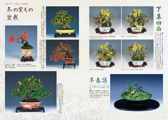 中国鉢、支那鉢、盆栽鉢、盆栽小鉢、鉢、植木鉢、山野草鉢、盆栽-