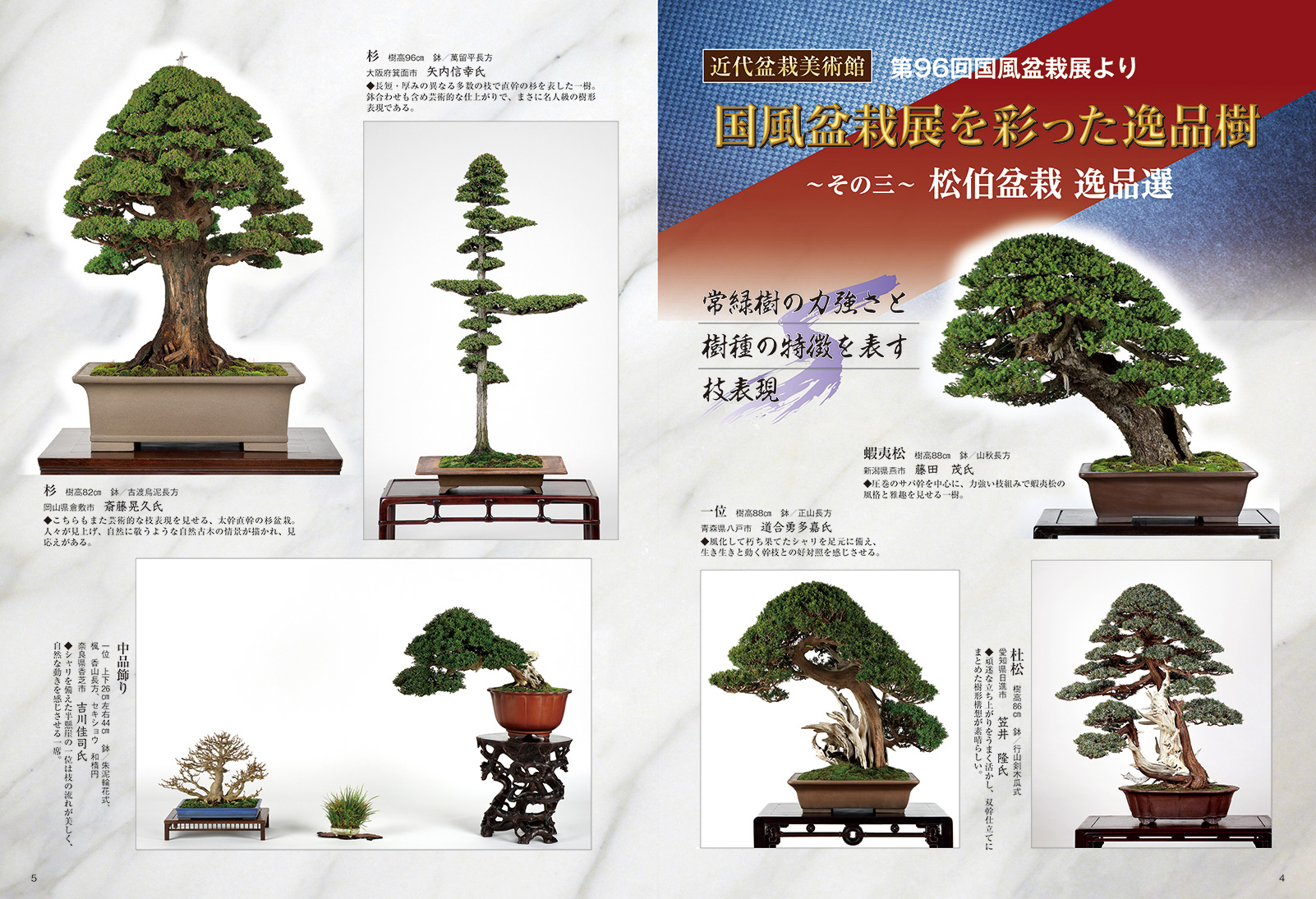 中国鉢、小判型、盆栽鉢、植木鉢、盆栽、bonsai【商品番号N19】 - 盆栽