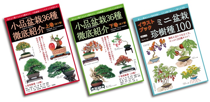 TOPページ | 盆栽、盆栽書籍、盆栽鉢の通販│近代出版