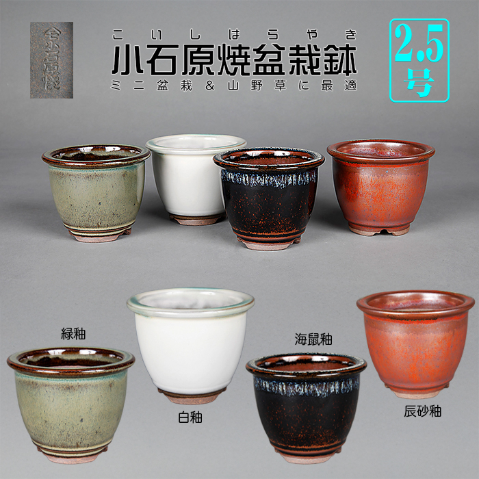 小石原焼2.5号深外縁丸鉢