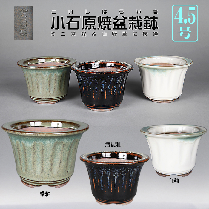 小石原焼4.5号深外縁丸鉢