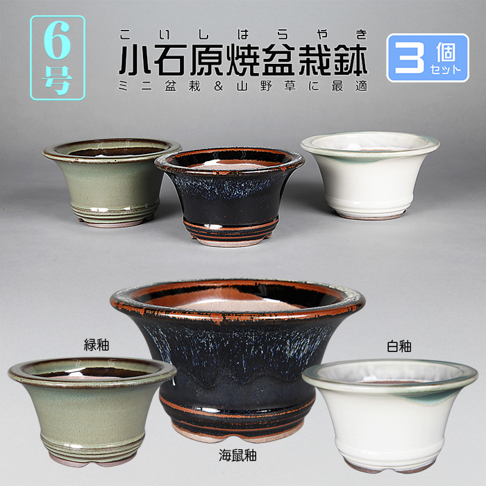 小石原焼6号深外縁丸鉢3点セット