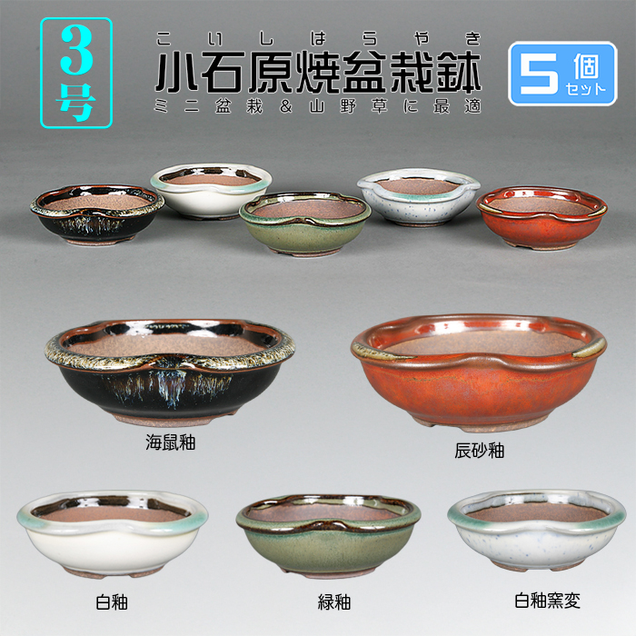 小石原焼3号変形丸鉢5点セット