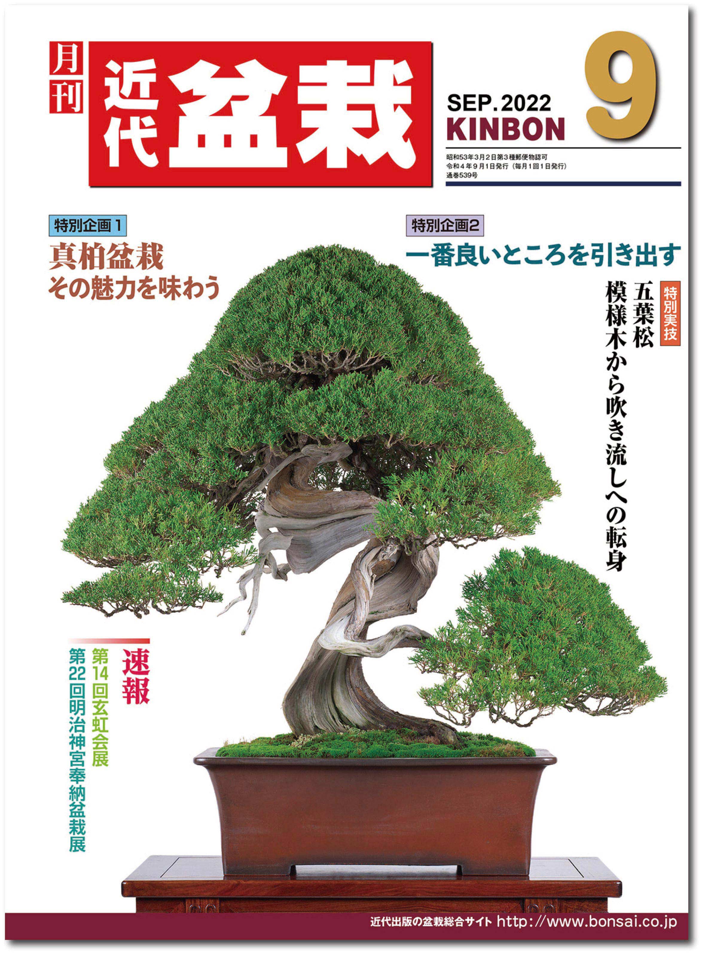 52 盆栽 盆栽鉢 植木鉢 和鉢 - 通販 - gofukuyasan.com