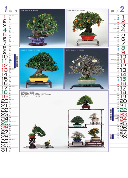 盆栽カレンダー『小品盆栽銘品集』 | 盆栽、盆栽書籍、盆栽鉢の通販│近代出版