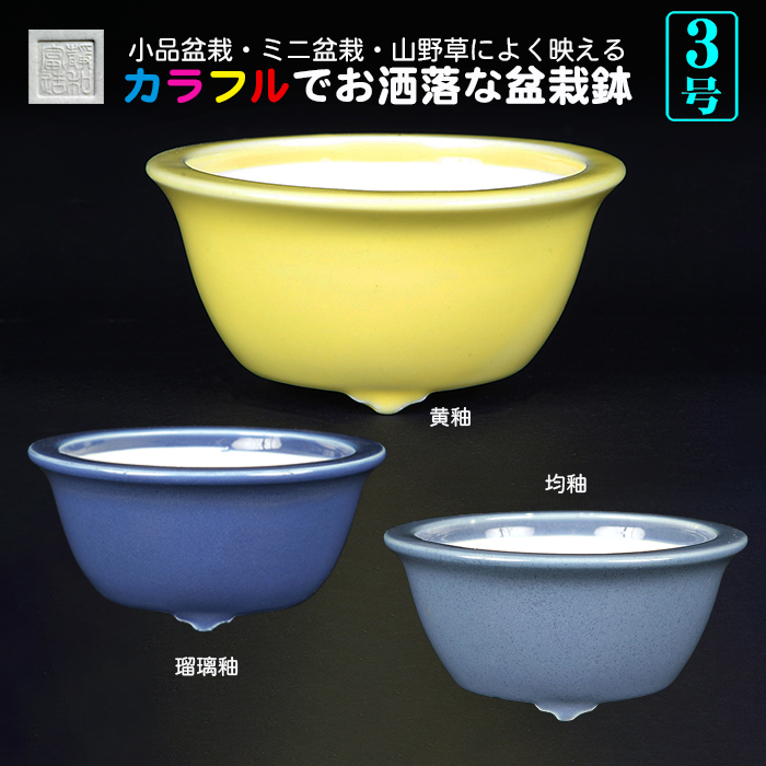 静和富造3号中深丸鉢