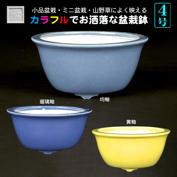 静和富造4号中深丸鉢