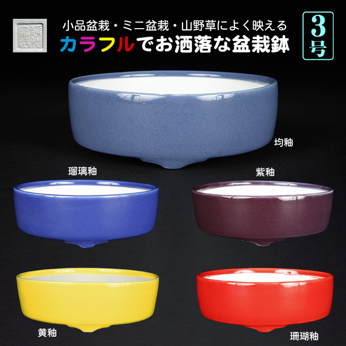 静和富造3号切立丸鉢