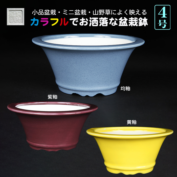 静和富造4号下紐丸鉢