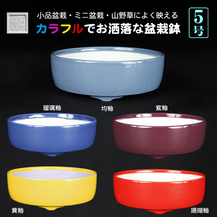 静和富造5号切立丸鉢