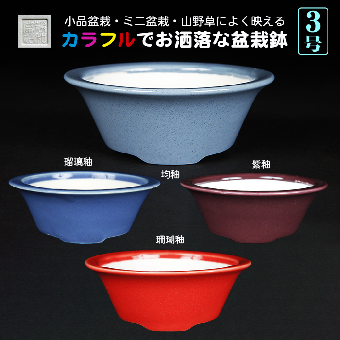 静和富造3号外縁丸鉢