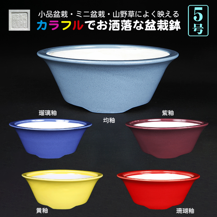 静和富造5号外縁丸鉢