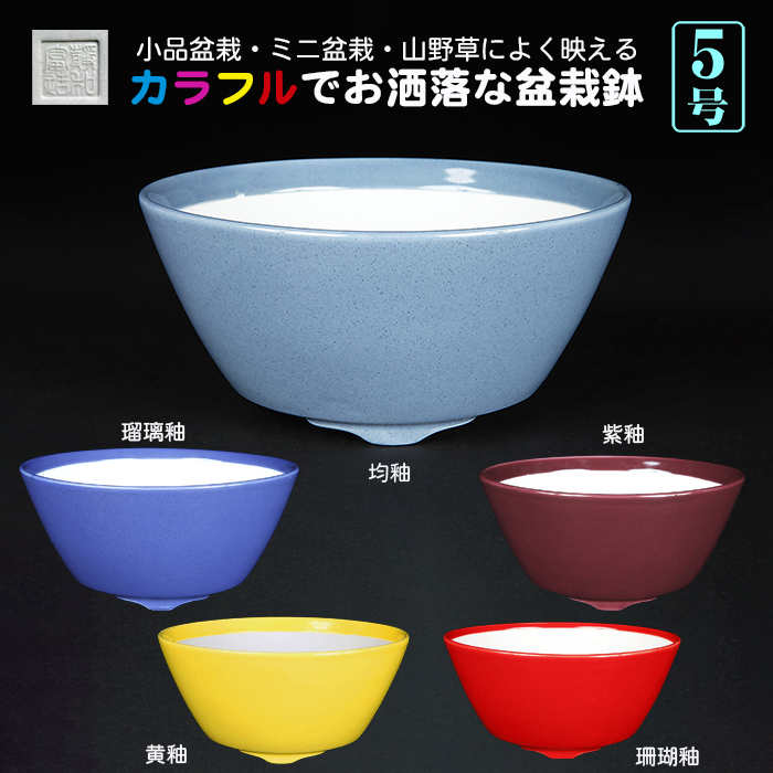 静和富造5号椀型丸鉢