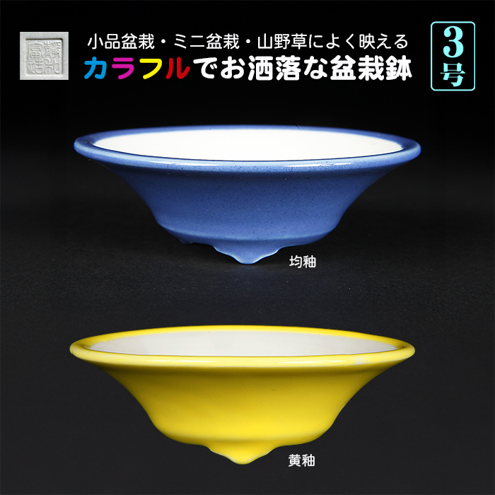 静和富造3号反型浅丸鉢
