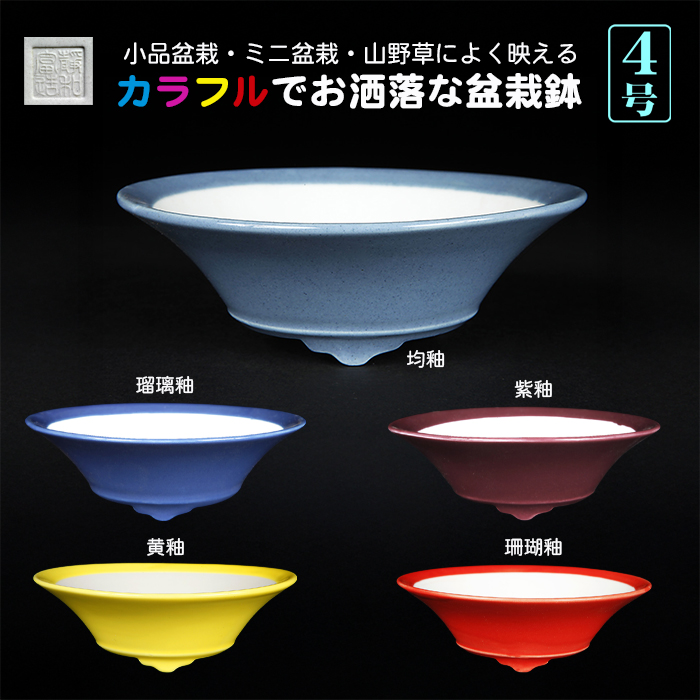 静和富造4号反型浅丸鉢