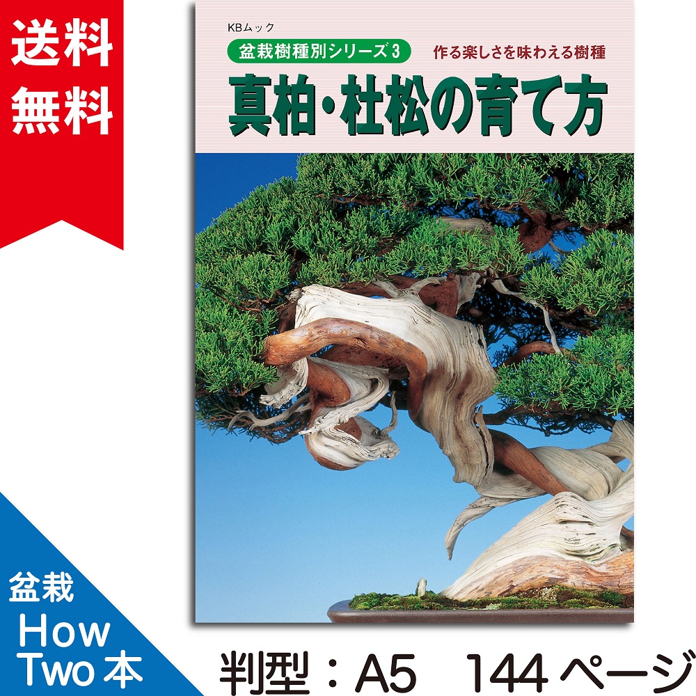 真柏・杜松の育て方