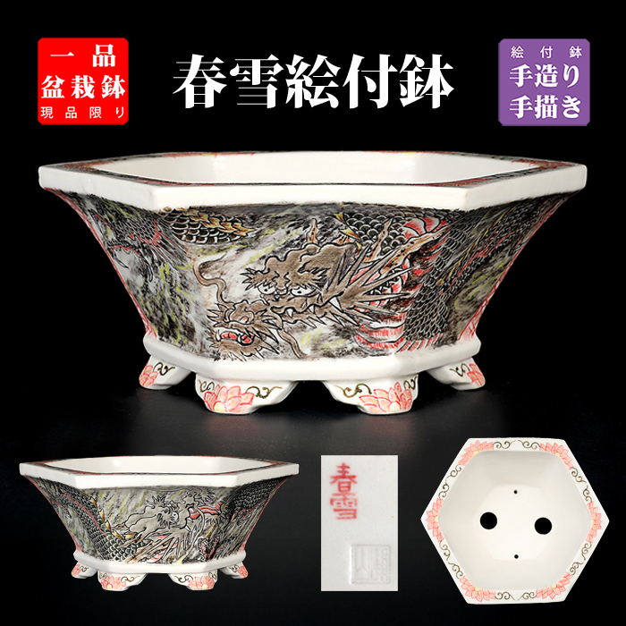 春雪色絵龍図六角鉢