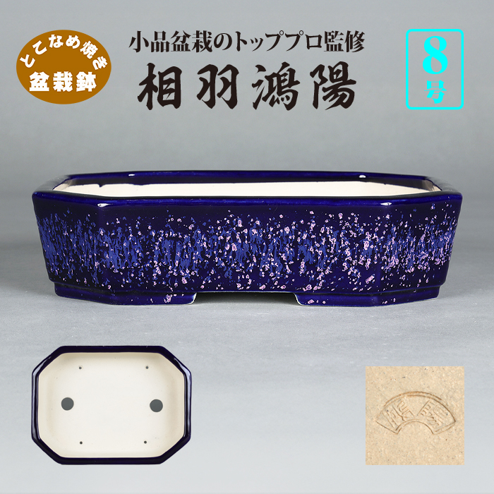 鴻陽瑠璃ピンク結晶釉隅切長方鉢