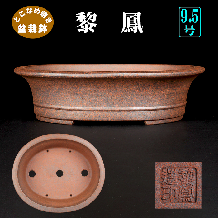 黎鳳外縁下紐楕円鉢