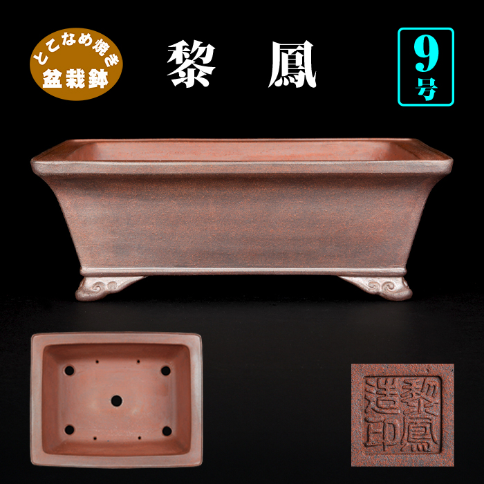 黎鳳下紐長方鉢