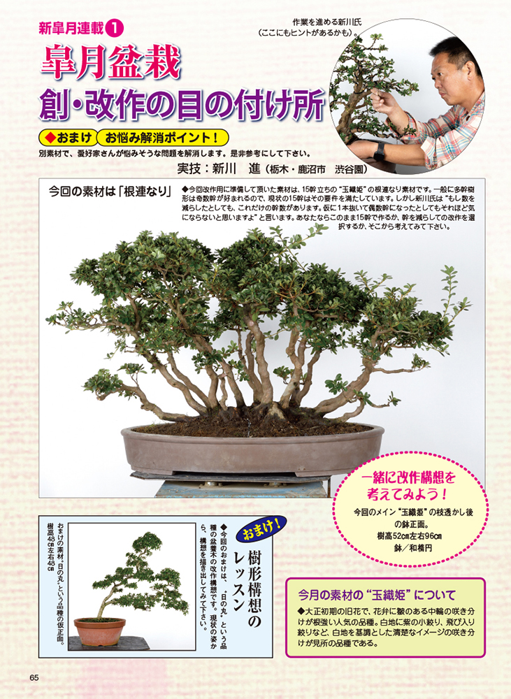 月刊 近代盆栽 22年1月号 盆栽 盆栽書籍 盆栽鉢の通販 近代出版