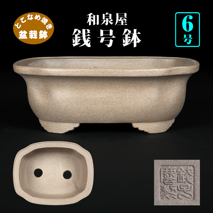 銭号外縁木瓜式鉢