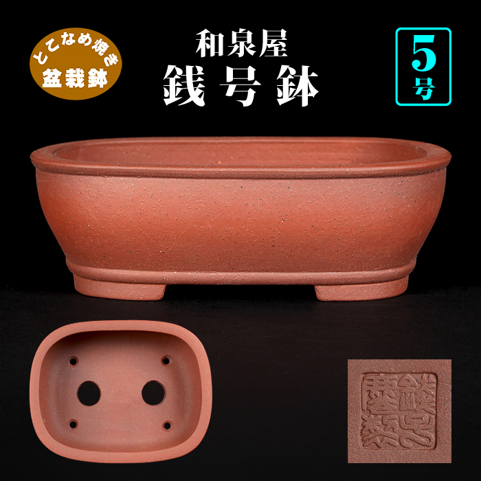 銭号撫角長方鉢