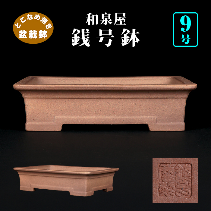 銭号外縁上下帯長方鉢