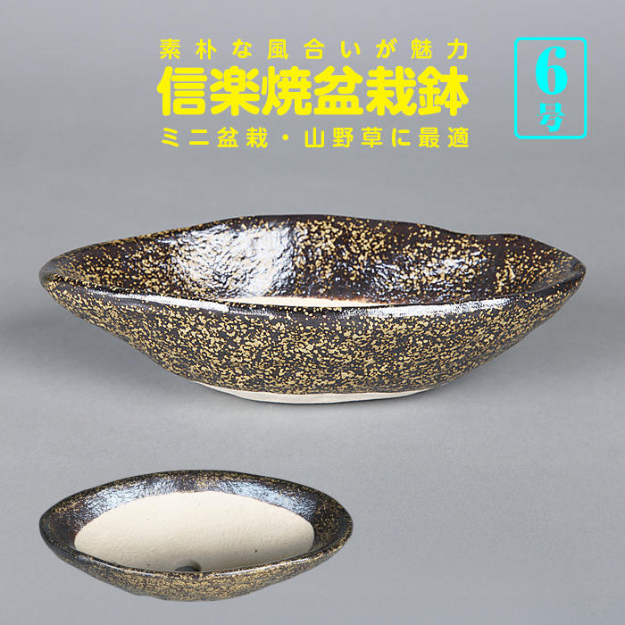 信楽焼金ソバ舟型鉢