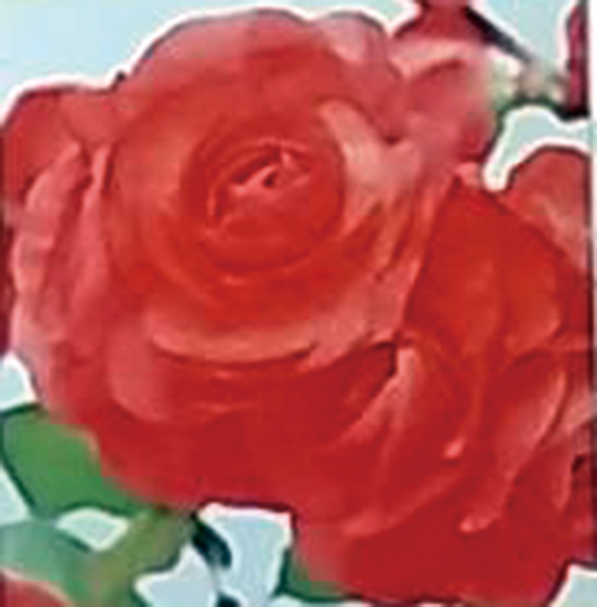 ボケ「夢絵巻」